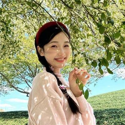 青龙镇谜案